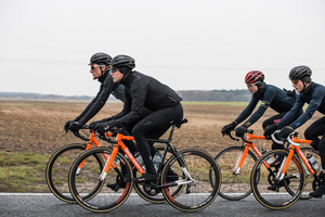 Team Standert